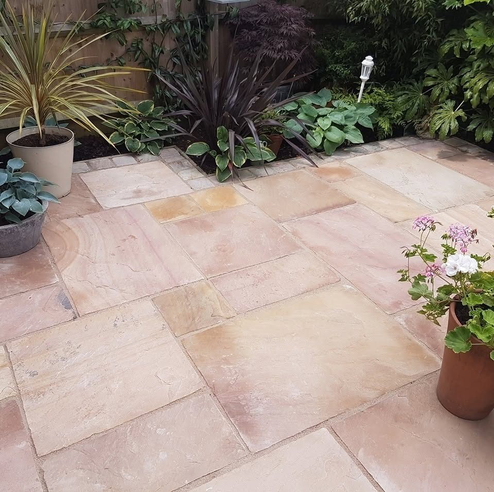 Raj blend Indian sandstone patio with planting